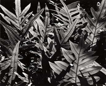 BRETT WESTON (1911-1993) Hawaii portfolio from the Honolulu Academy of Arts with 4 photographs.